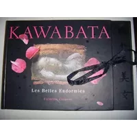 Les Belles Endormies - traduit par René Sieffert - illustrations et photographies par Frédéric Clément - + Le cahier d'Ayako de Frédéric Clé - Frédéric Clément Kawabata