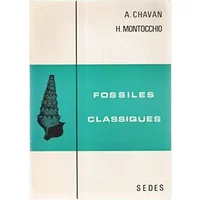 Fossiles classiques - A. Chavan H. Montocchio
