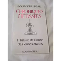 Chroniques métissées : L'Histoire de France des jeunes arabes - Ahmed Boubeker, Nicolas Beau
