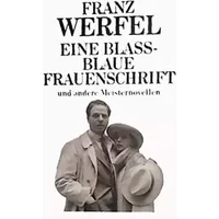 Eine blassblaue Frauenschrift und andere Meisternovellen.