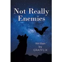 Not Really Enemies - M Gratflix