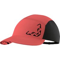 rot