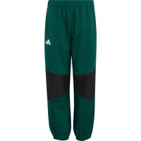 collegiate green