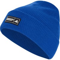 team royal blue-white