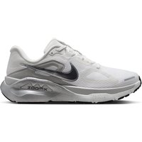 summit white-metallic silver