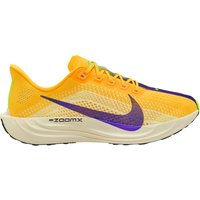 Nike Herren Pegasus Plus Schuhe