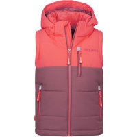 pink salmon-frozen berry