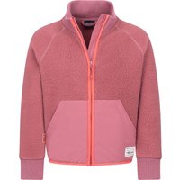 frozen berry-pink salmon
