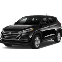 CAROLINA - HYUNDAI TUCSON 2.0 or similar (Intermediate)