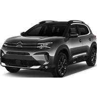 CAIRO - CITROEN C5 2.0 or similar (Intermediate)