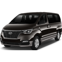 SINT MAARTEN - HYUNDAI H1 2.4 or similar (Standard)