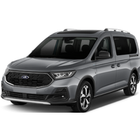 SCHIPHOL - FORD TOURNEO CONNECT or similar (Standard)