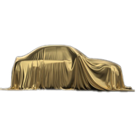 MYSTERY CAR - PETROL/DIESEL/EV
