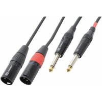 PD Connex Câble Audio Cordon 2x XLR Mâle - 2x Jack 6,35 Mâle Stéréo - 6m