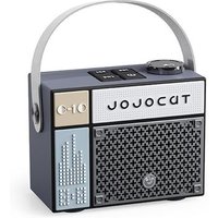 Bluetooth audio haut volume USB portable C10 noir