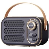 Bluetooth audio mini haut-parleur portable DW13 noir