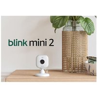 Blink Mini