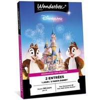 Coffret cadeau Connect Disneyland Paris 1 jour / 2 parcs Disney®