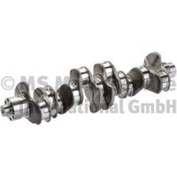 BF Kurbelwelle Universal  für MERCEDES-BENZ 9360300601 9360300401 A9360300401 20050393600 BF Kurbelwelle Universal  für MERCEDES-BENZ 9360300601 9360300401 A9360300401 20050393600