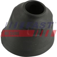 FAST Türfeststeller hinten rechts links  für FORD BK31-V272A56-BD 1847633 FT95656 FAST Türfeststeller hinten rechts links  für FORD BK31-V272A56-BD 1847633 FT95656