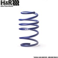 H&R Fahrwerksfeder Universal  29278VA1 H&R Fahrwerksfeder Universal  29278VA1