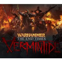 Warhammer: End Times - Vermintide RU/CIS Steam CD Key