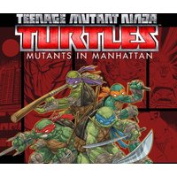 Teenage Mutant Ninja Turtles: Mutants in Manhattan Steam CD Key