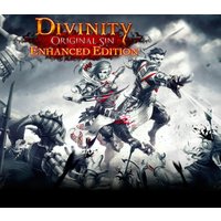 Divinity: Original Sin Enhanced Edition EU GOG CD Key