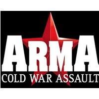 Arma: Cold War Assault EU Steam CD Key