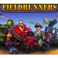 Fieldrunners Steam CD Key