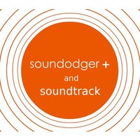 Soundodger+ and Soundtrack Steam CD Key
