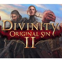 Divinity: Original Sin 2 Steam Altergift