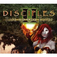 Disciples II: Rise of the Elves PC Steam CD Key