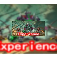 Experience Steam CD Key