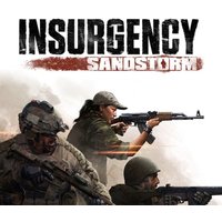Insurgency: Sandstorm FR Steam CD Key
