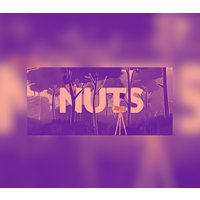 NUTS PC Steam CD Key