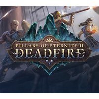 Pillars of Eternity II: Deadfire FR Steam CD Key