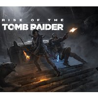 Rise of the Tomb Raider - Season Pass EU Steam CD Key