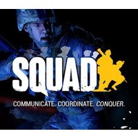 Squad PC Steam CD Key