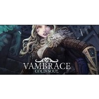 Vambrace: Cold Soul PC Steam CD Key