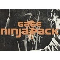 PAYDAY 2 - Gage Ninja Pack Steam Gift