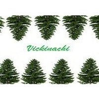 Vickinachi Steam CD Key