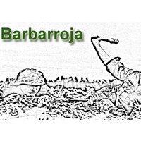 Barbarroja Steam CD Key