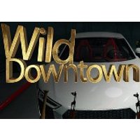 Wild Downtown Steam CD Key