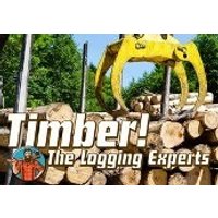 Timber! The Logging Experts Steam CD Key