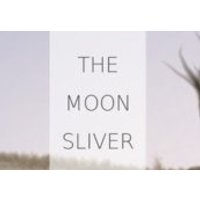 The Moon Sliver Steam CD Key