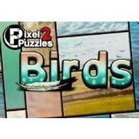 Pixel Puzzles 2: Birds Steam CD Key