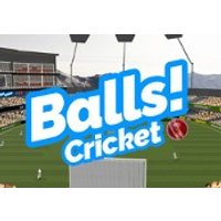 Balls! Virtual Reality Cricket Steam CD Key