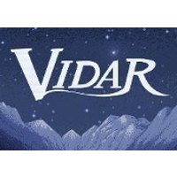 Vidar Steam CD Key
