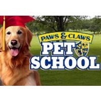 Paws and Claws: Pet School Steam CD Key